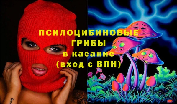 гашик Лиски