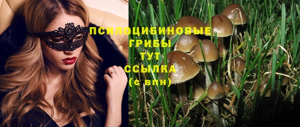 дурь Лихославль
