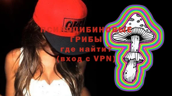 гашик Лиски