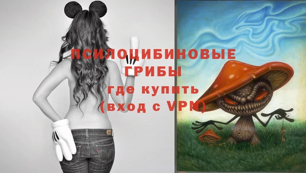 гашик Лиски