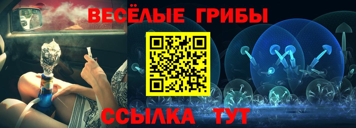 Галлюциногенные грибы Cubensis  Вход с VPN  Галлюциногенные грибы прущие грибы  Кисловодск 