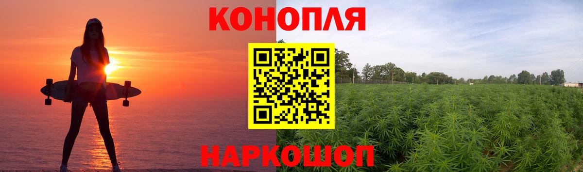 Каннабис OG Kush Кисловодск